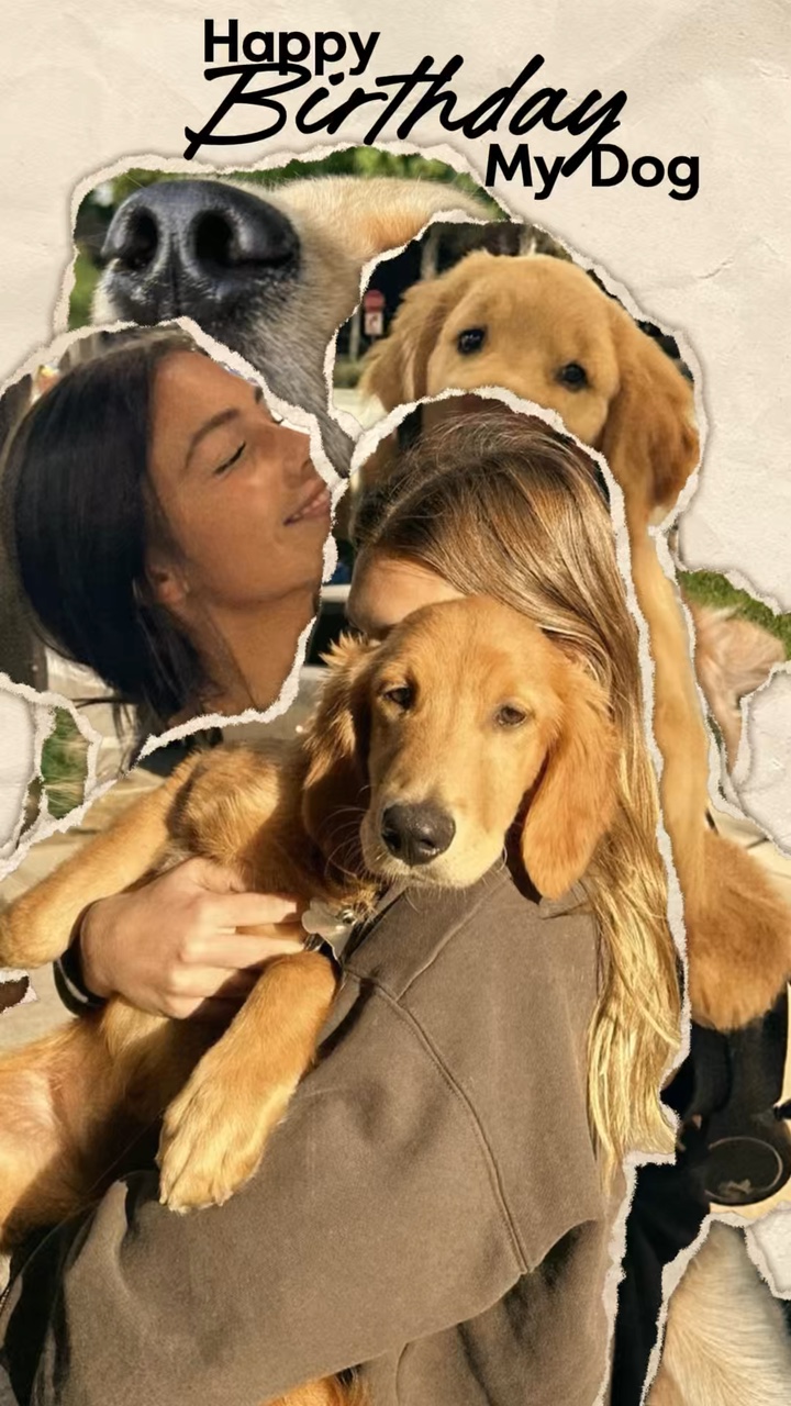 Geburtstag mein Hund