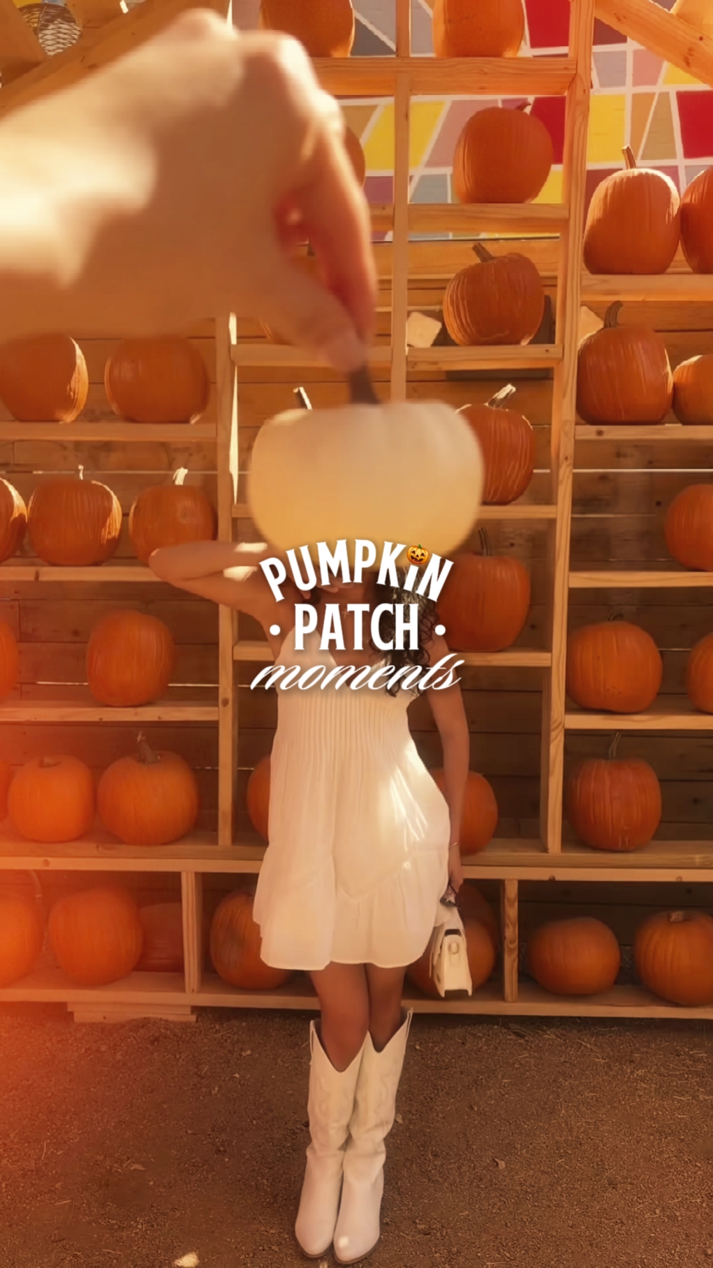 Vlog de parche de calabaza 