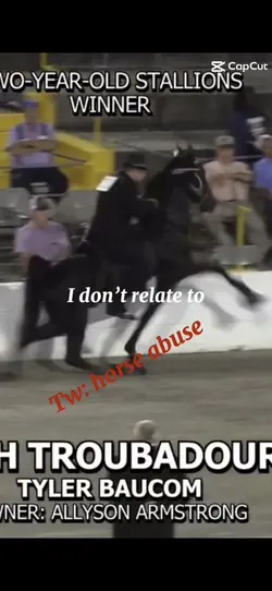 Horse abuse