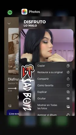 Disfruto Lo Malo