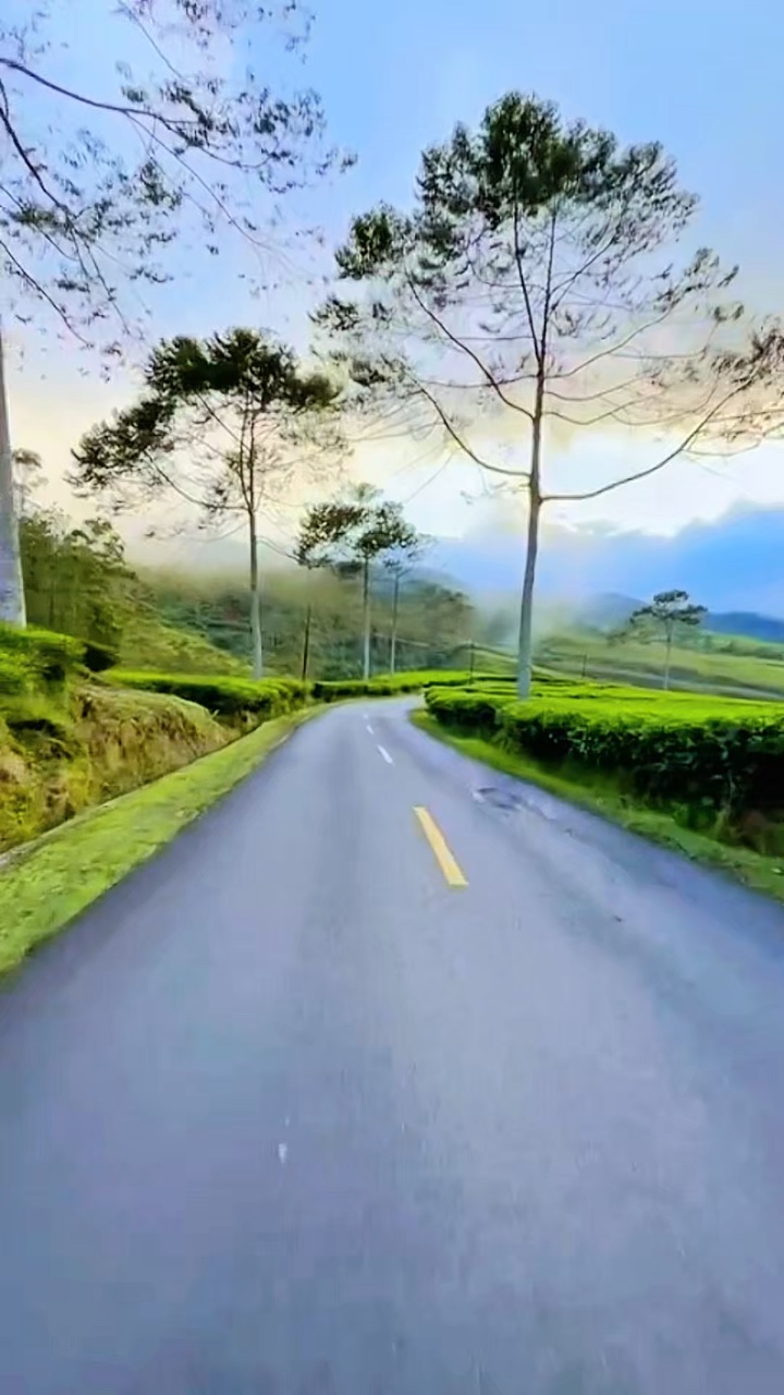 6 video clips HD