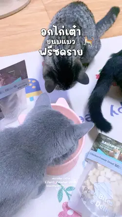 อกไก่เต๋าฟรีซดราย 🐈✨