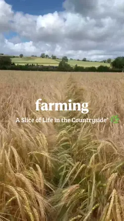 farming