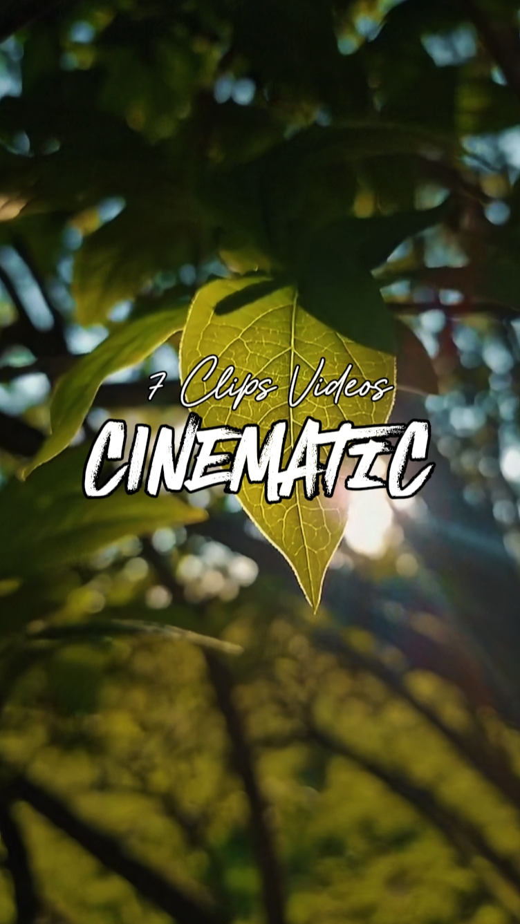 7 Clips Cinematic