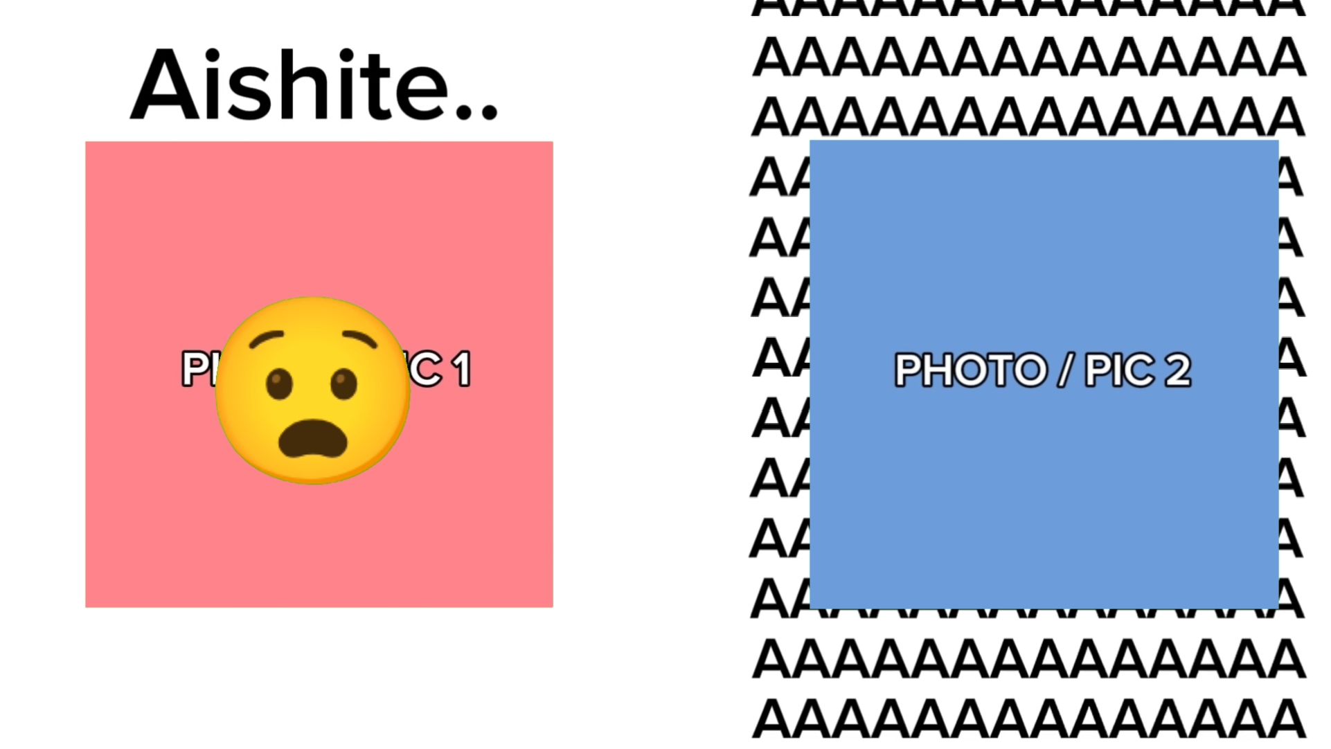 PRO EDIT MASTAR