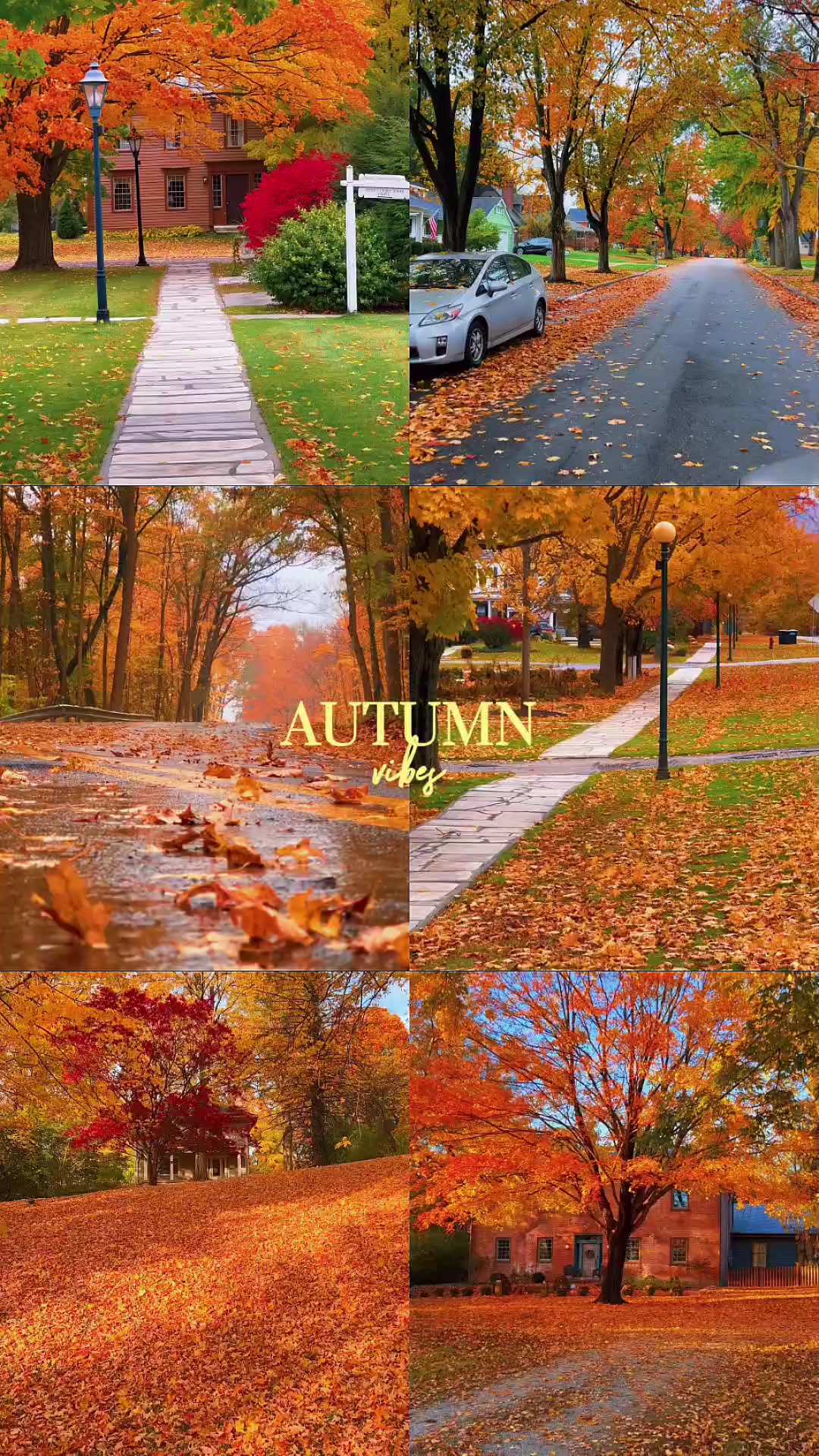 Autumn reels