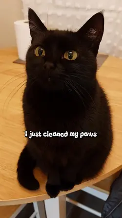 Everything's clean..