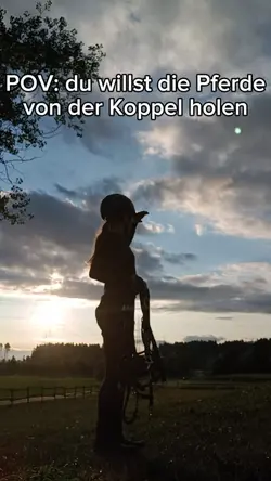 HILDEGART!