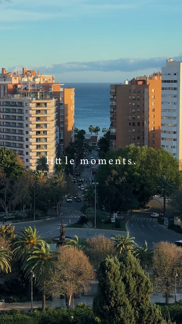 Pequeños momentos 