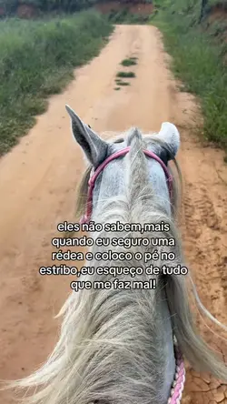 cavalo
