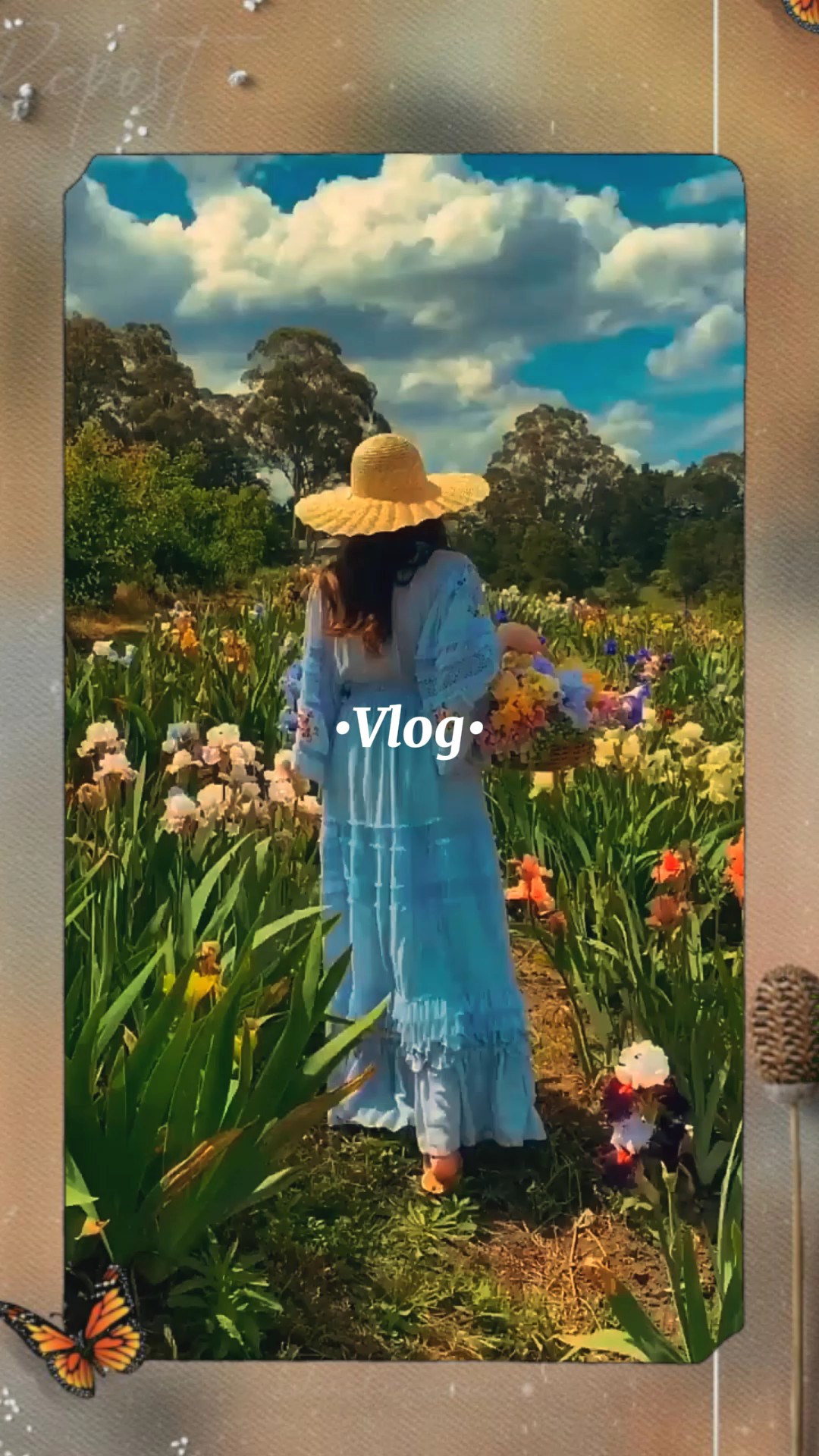 vlog