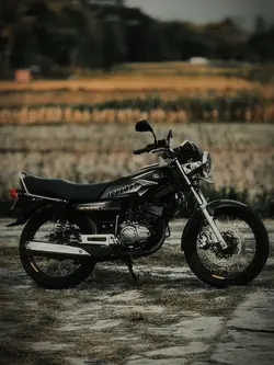 phonk kece ni