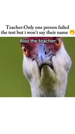 teacher: