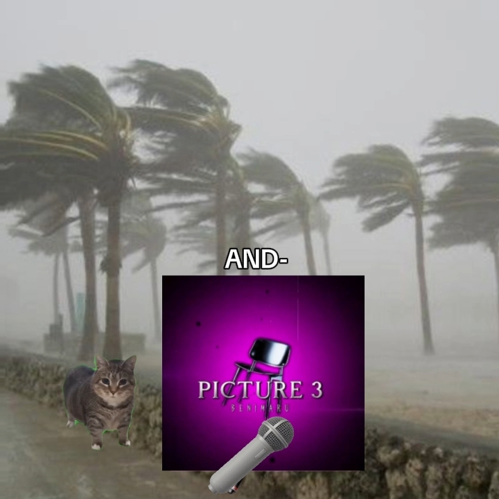 New Trending- EditZ-