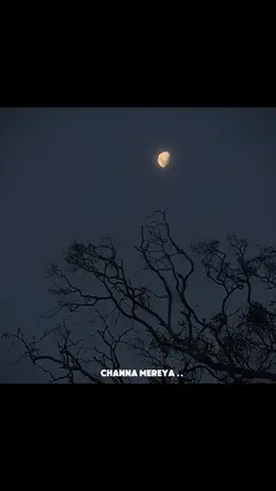 Channa mereya