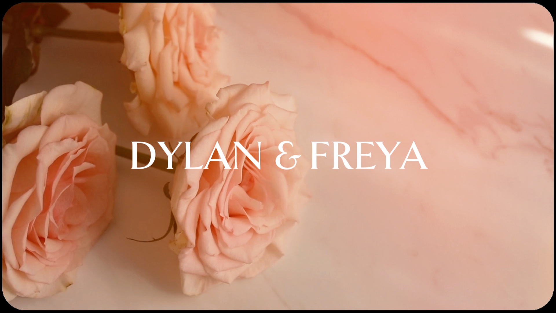 WEDDING VIDEOGRAPHY 