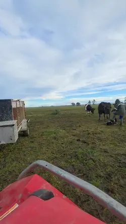 farm