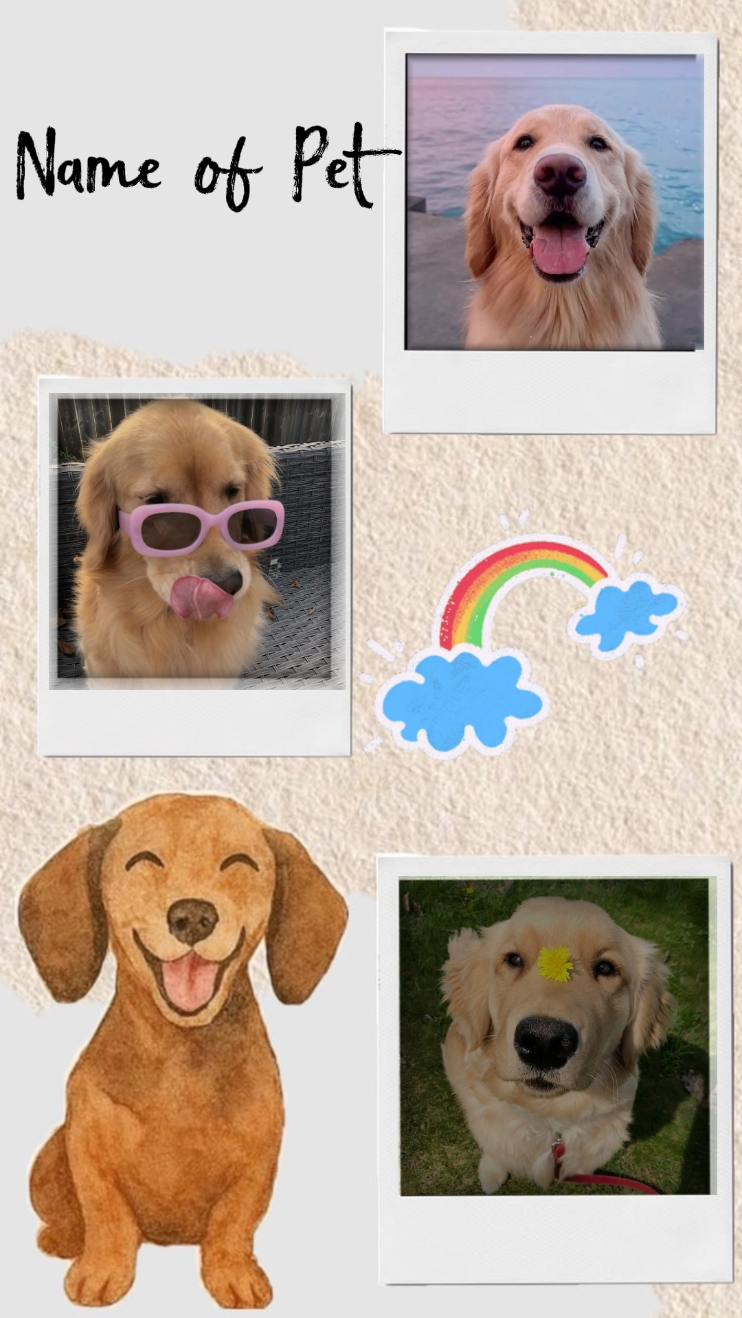 Pet Template 