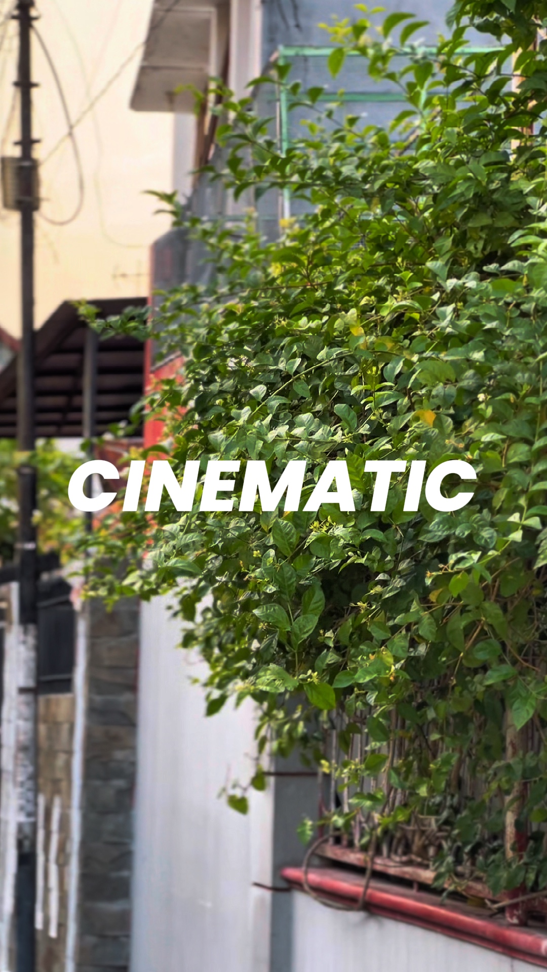 CINEMATIC JJ