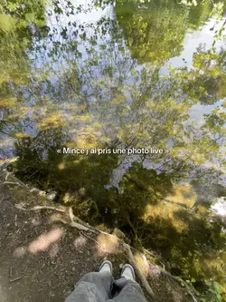 .