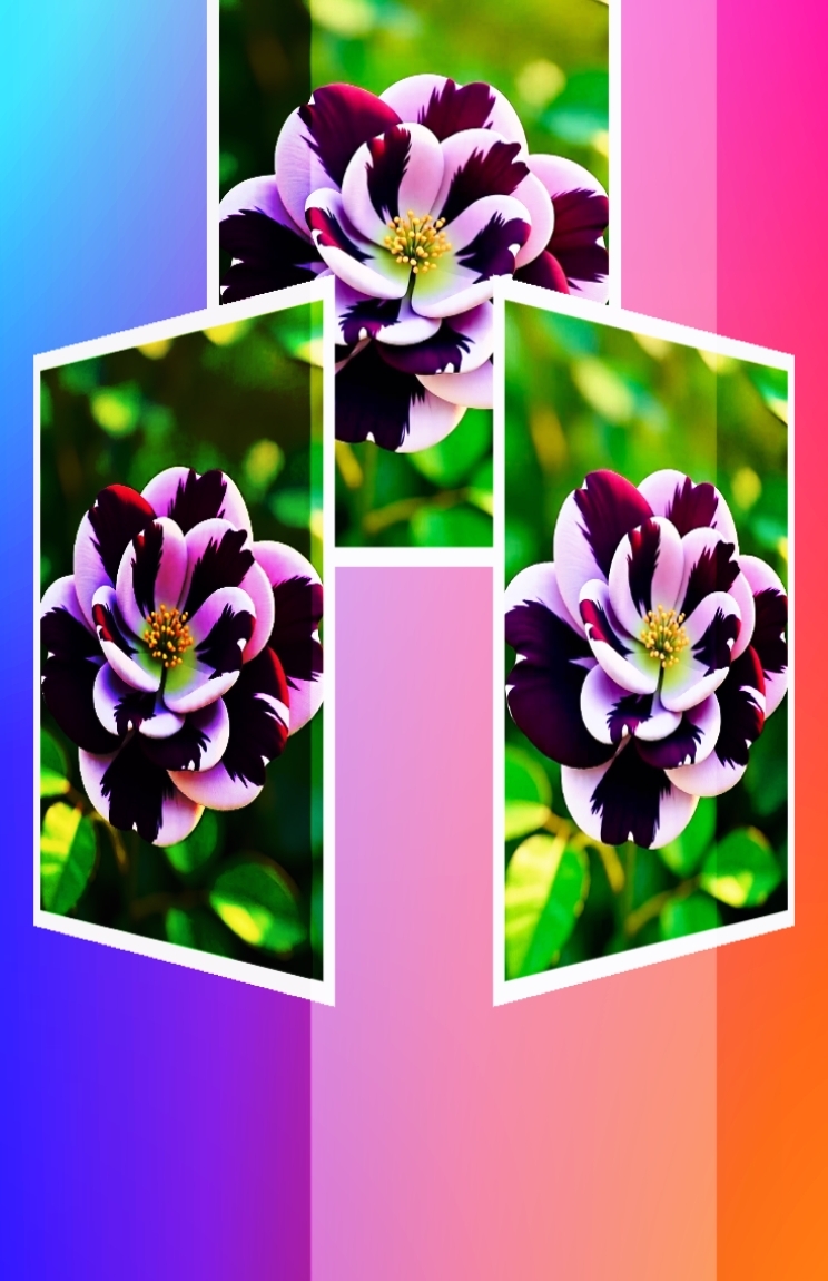 new edit