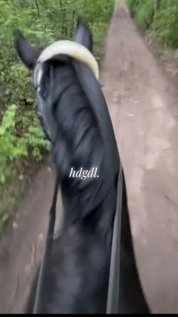 hdgdl