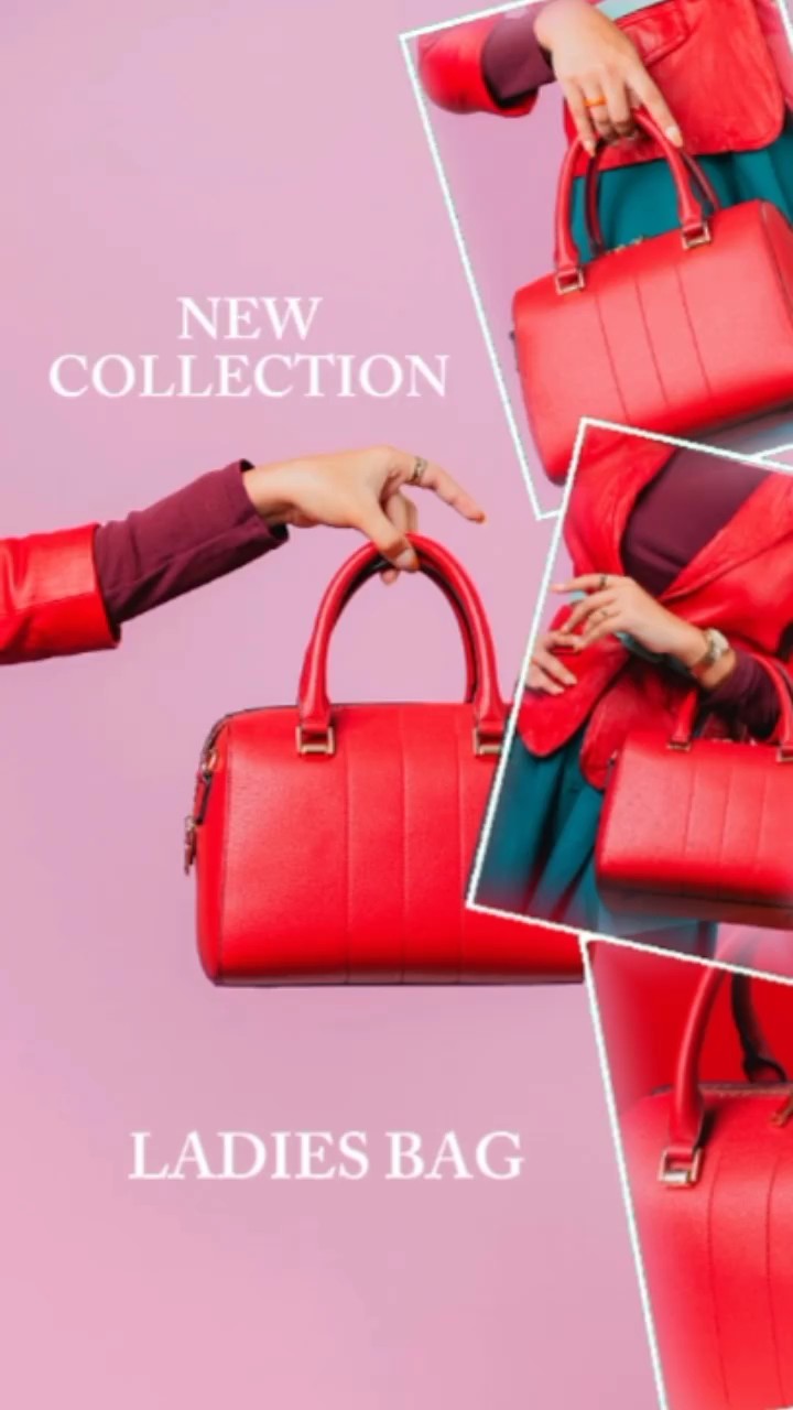 ladies bag