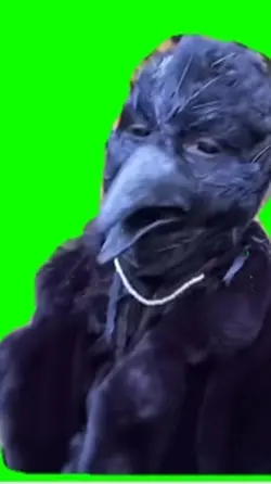 Life like bird mask