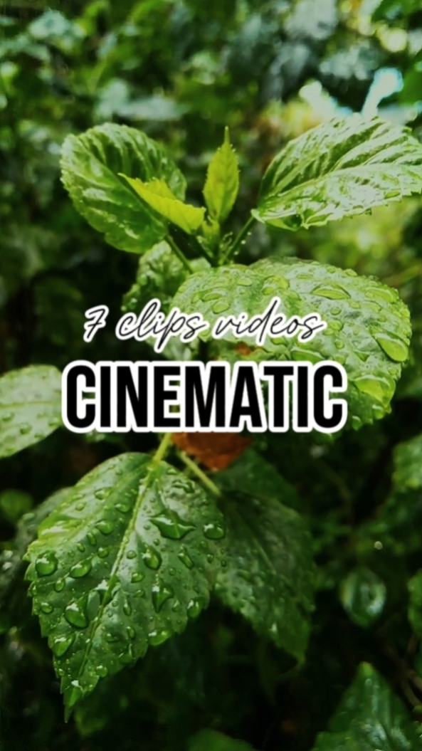 cinématique 7 clips