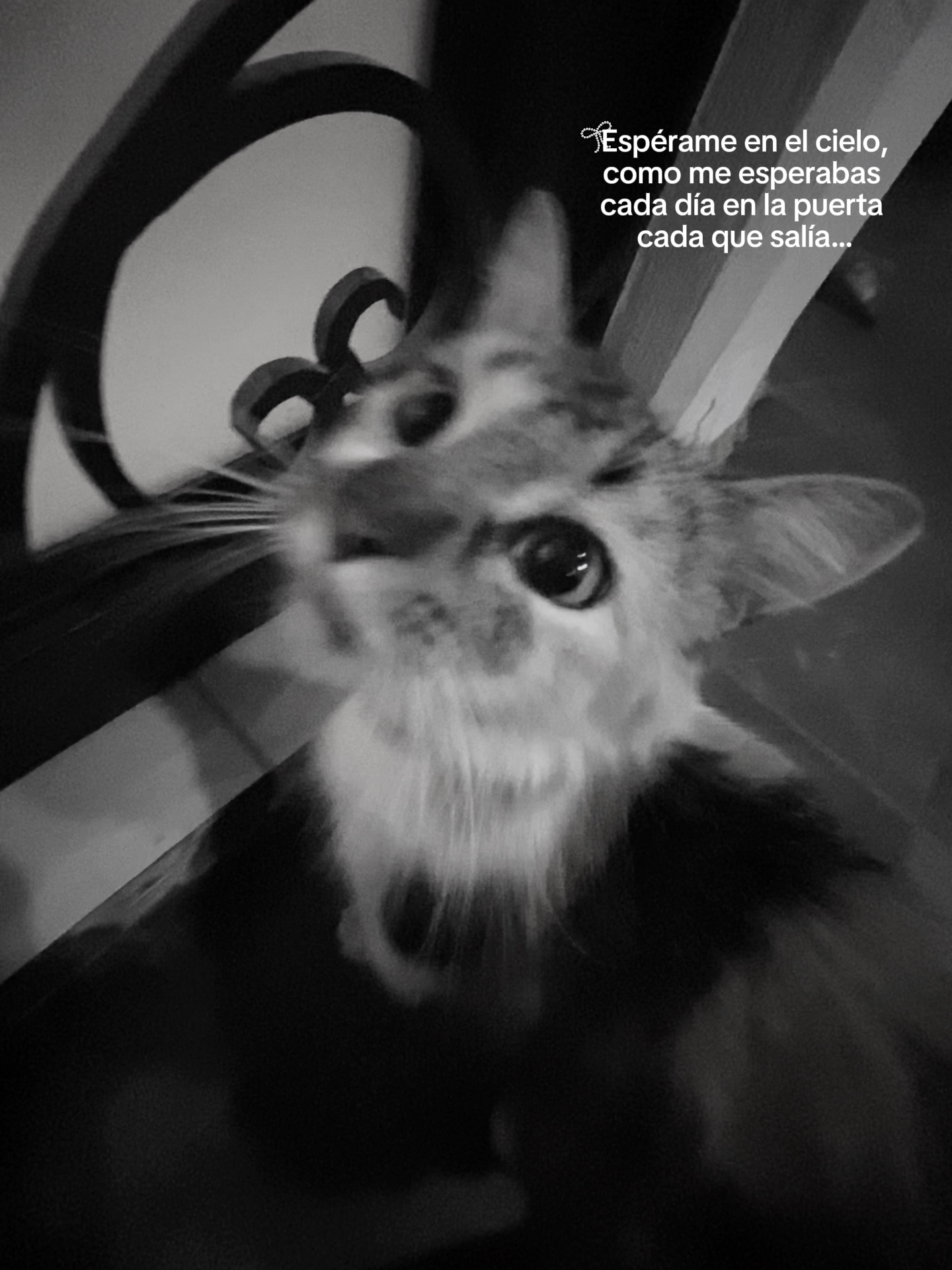 la extraño..
