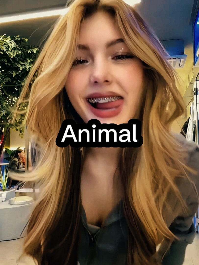 Katseye Animal