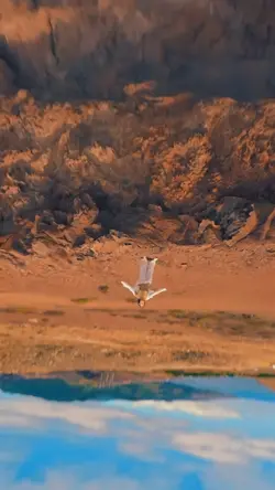 slowmo glory and