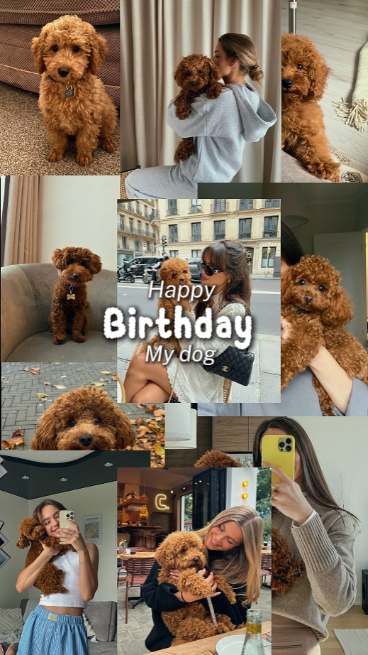 Happy Birthday Dog