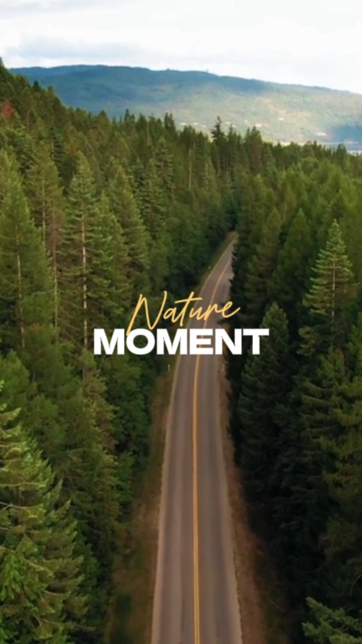 MOMENTO NATUREZA