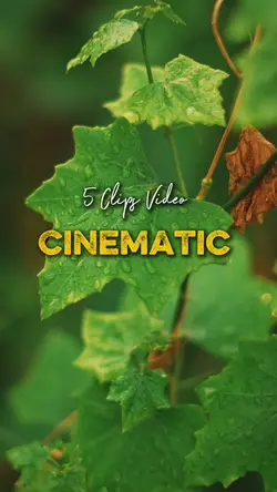 Cinematic 5 Video 