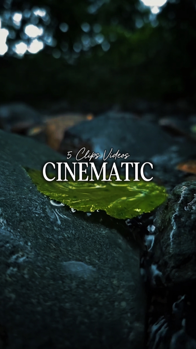 5 Clips Cinématique