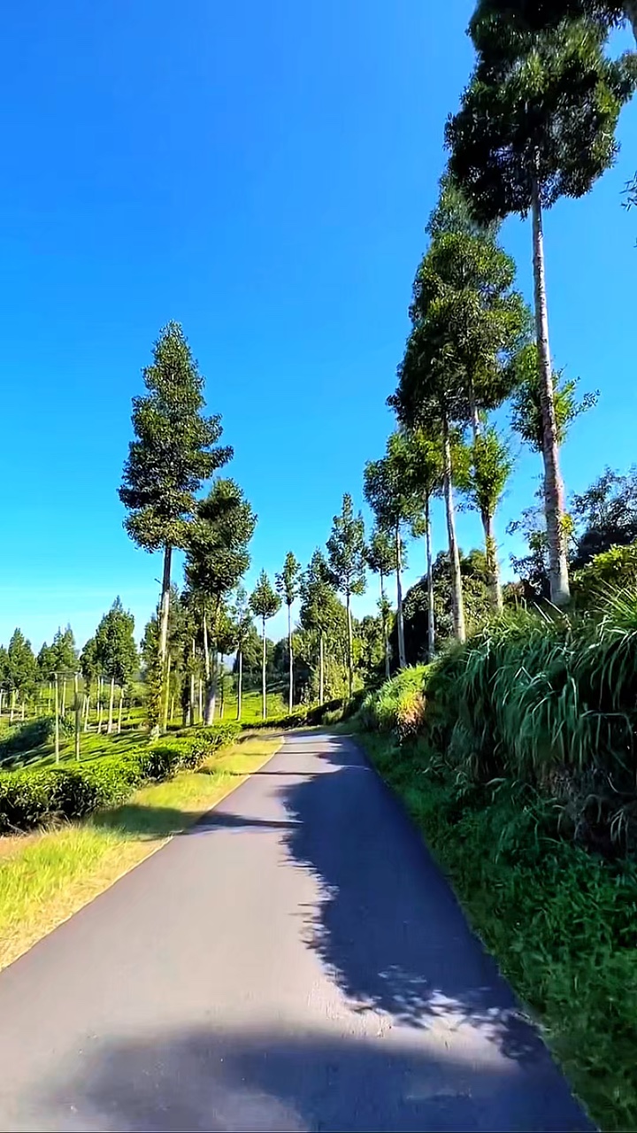 6 video nature