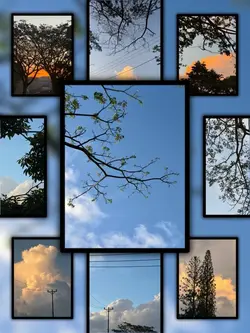 9Pic Trend