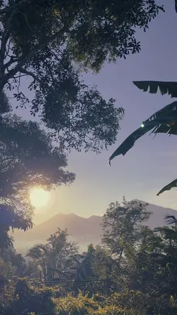 Suasana pagi