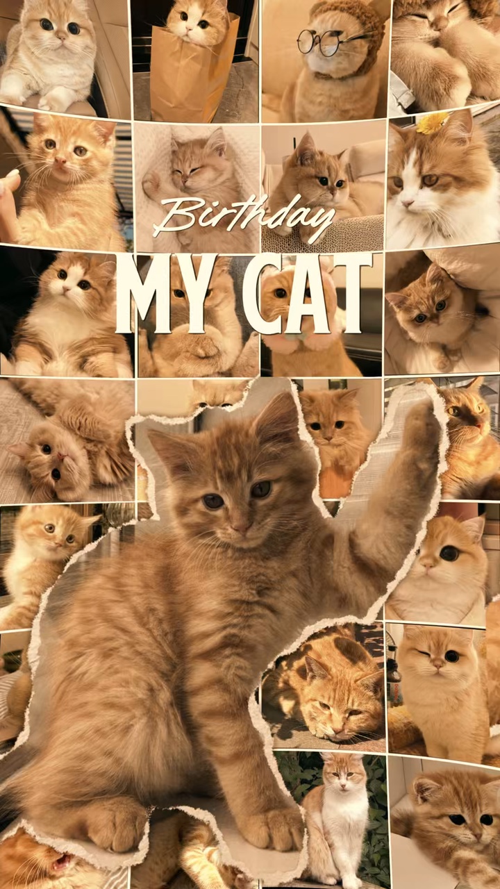 birthday My Cat 