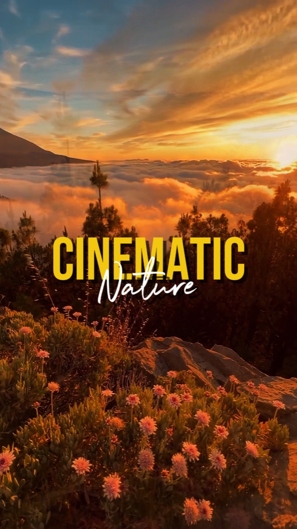NATUREZA CINEMÁTICA
