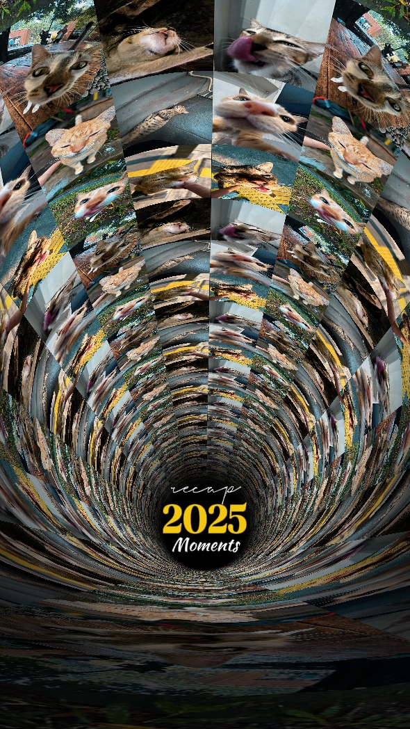 2025 memórias