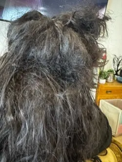 Demating hair 