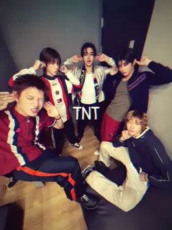 tnt-cortis