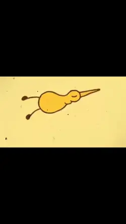 nur einmal pahahah