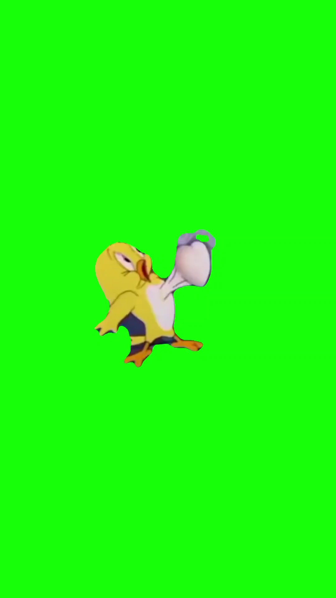 funny duck meme