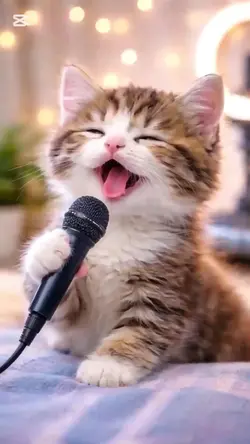 子猫の歌手