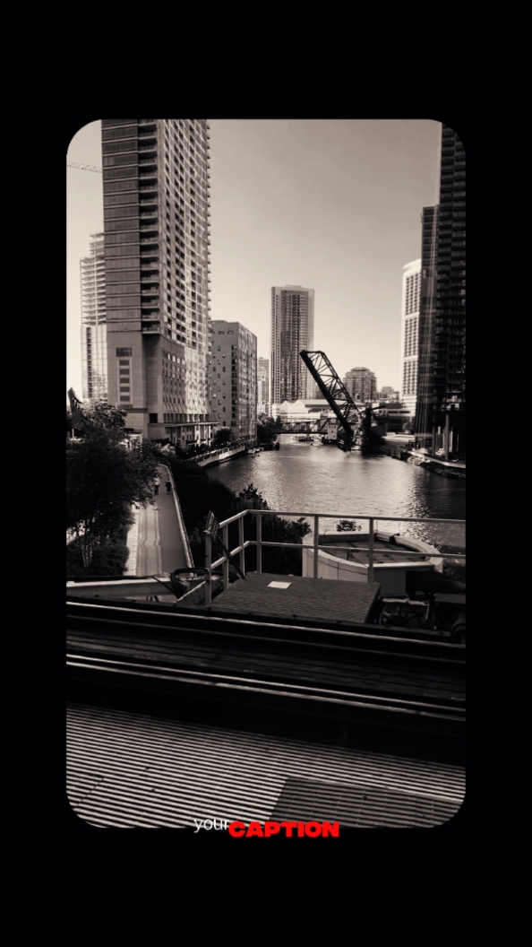 Boston-Stella