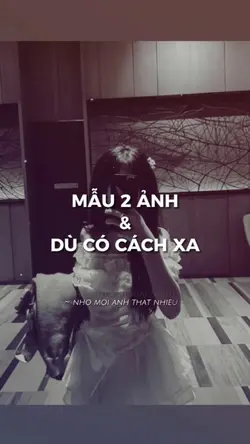 Hay yêu a thật nhìu