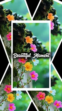 Beautiful Moment